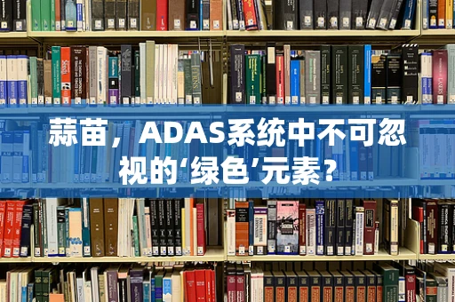 蒜苗，ADAS系统中不可忽视的‘绿色’元素？