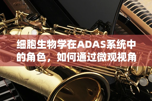 细胞生物学在ADAS系统中的角色，如何通过微观视角提升自动驾驶安全？