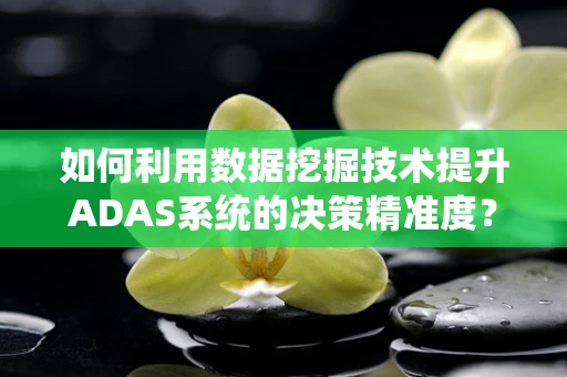 如何利用数据挖掘技术提升ADAS系统的决策精准度？
