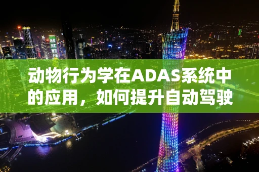 动物行为学在ADAS系统中的应用，如何提升自动驾驶系统的动物识别能力？