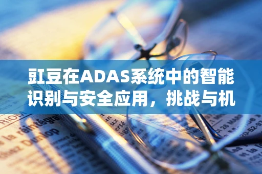 豇豆在ADAS系统中的智能识别与安全应用，挑战与机遇？