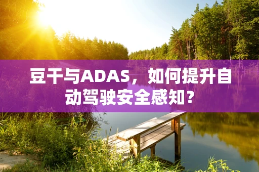 豆干与ADAS，如何提升自动驾驶安全感知？