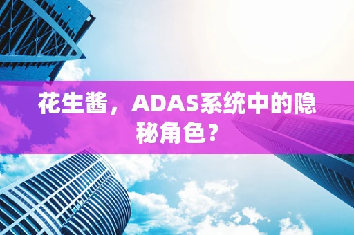 花生酱，ADAS系统中的隐秘角色？