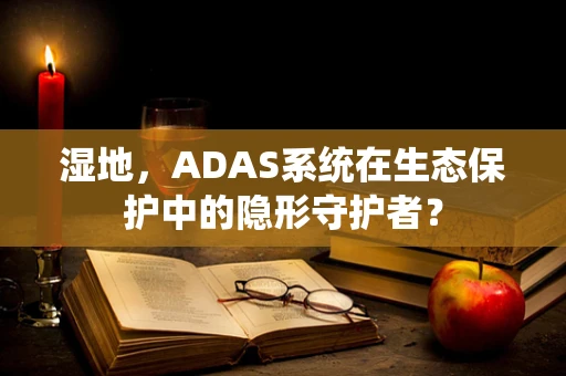 湿地，ADAS系统在生态保护中的隐形守护者？