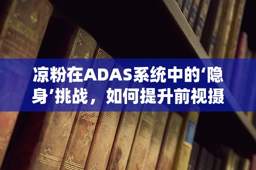 凉粉在ADAS系统中的‘隐身’挑战，如何提升前视摄像头的识别精度？