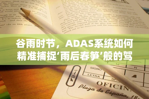 谷雨时节，ADAS系统如何精准捕捉‘雨后春笋’般的驾驶挑战？