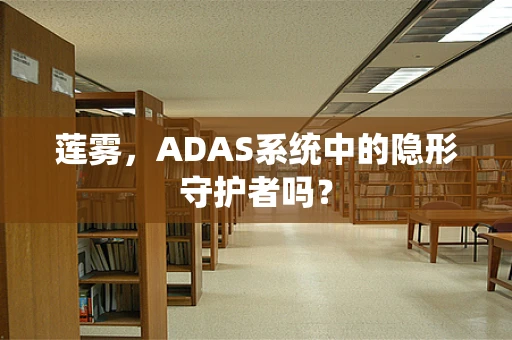 莲雾，ADAS系统中的隐形守护者吗？