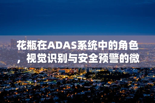 花瓶在ADAS系统中的角色，视觉识别与安全预警的微妙平衡