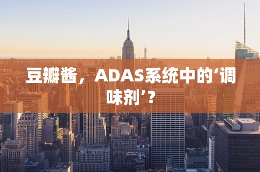 豆瓣酱，ADAS系统中的‘调味剂’？