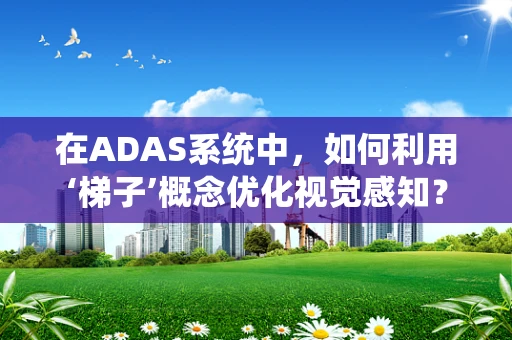 在ADAS系统中，如何利用‘梯子’概念优化视觉感知？
