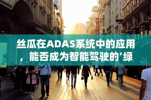 丝瓜在ADAS系统中的应用，能否成为智能驾驶的‘绿色雷达’？
