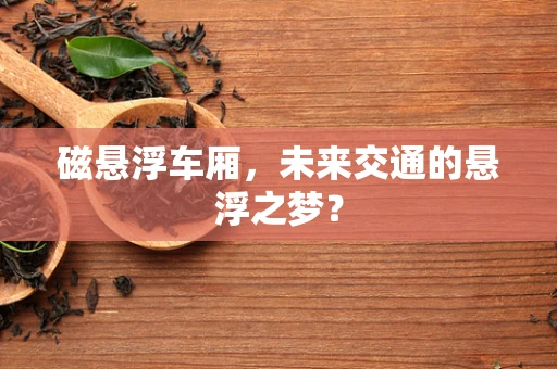 磁悬浮车厢，未来交通的悬浮之梦？