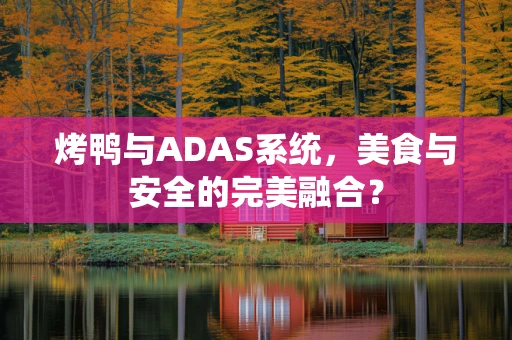 烤鸭与ADAS系统，美食与安全的完美融合？