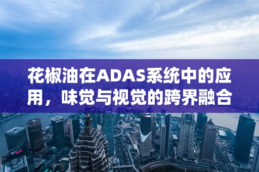 花椒油在ADAS系统中的应用，味觉与视觉的跨界融合？