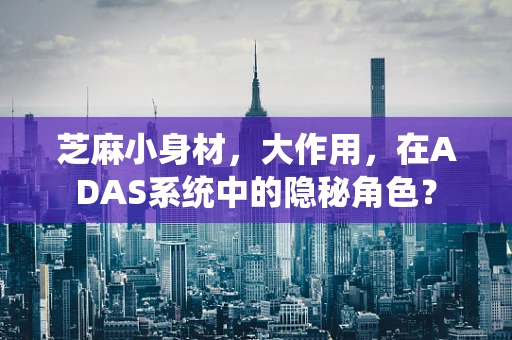 芝麻小身材，大作用，在ADAS系统中的隐秘角色？