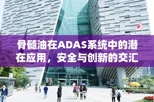 骨髓油在ADAS系统中的潜在应用，安全与创新的交汇点