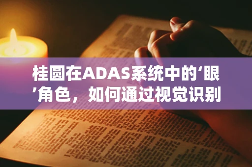 桂圆在ADAS系统中的‘眼’角色，如何通过视觉识别提升驾驶安全？