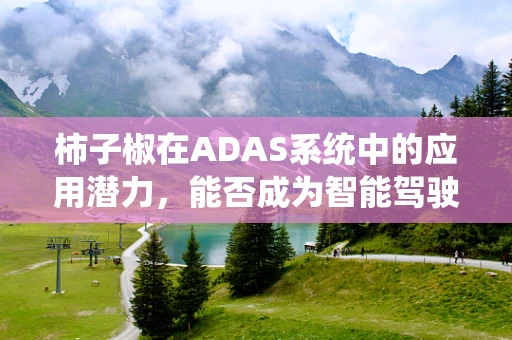 柿子椒在ADAS系统中的应用潜力，能否成为智能驾驶的‘味觉’传感器？