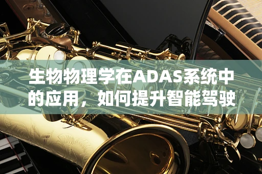 生物物理学在ADAS系统中的应用，如何提升智能驾驶的‘生物感知’能力？