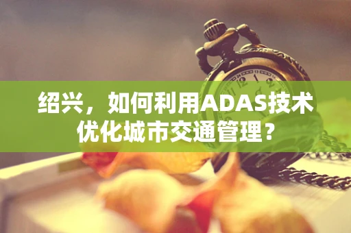绍兴，如何利用ADAS技术优化城市交通管理？