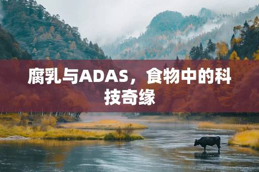 腐乳与ADAS，食物中的科技奇缘