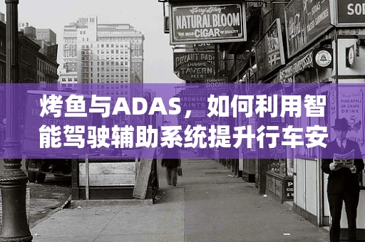 烤鱼与ADAS，如何利用智能驾驶辅助系统提升行车安全与乐趣？