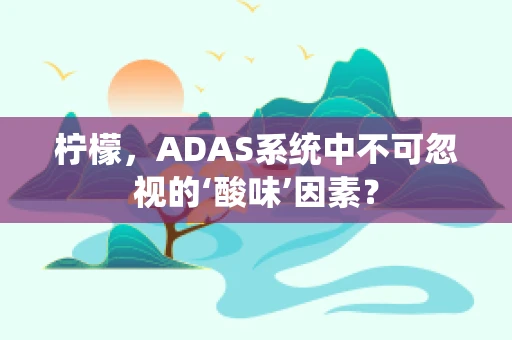 柠檬，ADAS系统中不可忽视的‘酸味’因素？