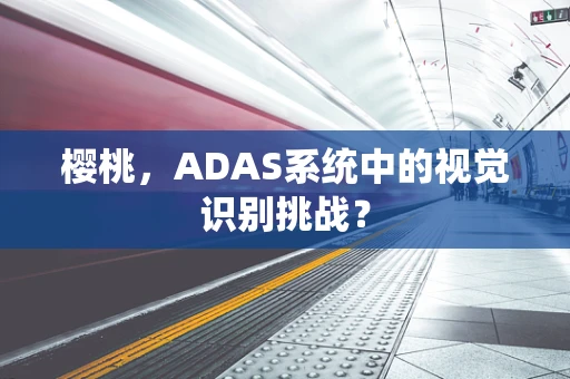 樱桃，ADAS系统中的视觉识别挑战？