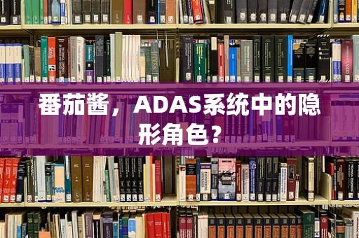 番茄酱，ADAS系统中的隐形角色？