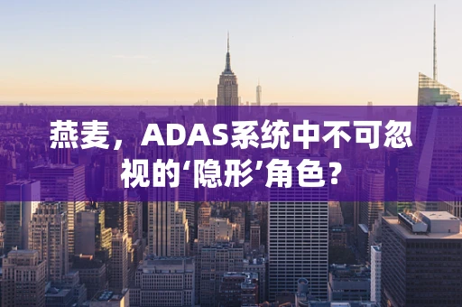 燕麦，ADAS系统中不可忽视的‘隐形’角色？