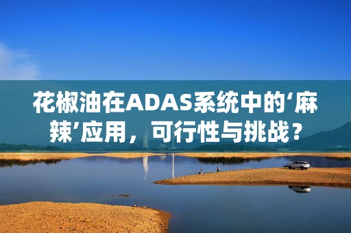 花椒油在ADAS系统中的‘麻辣’应用，可行性与挑战？