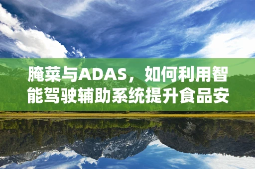 腌菜与ADAS，如何利用智能驾驶辅助系统提升食品安全监管？