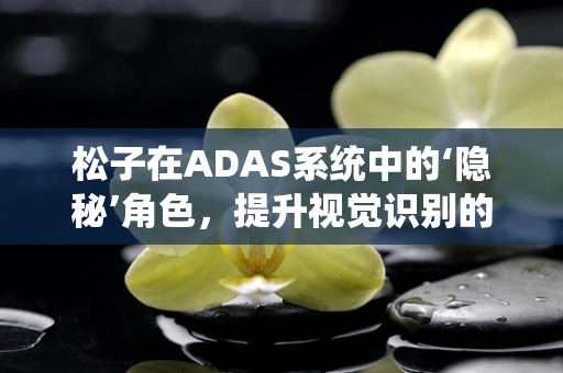 松子在ADAS系统中的‘隐秘’角色，提升视觉识别的‘微光’？