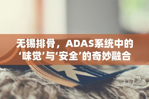 无锡排骨，ADAS系统中的‘味觉’与‘安全’的奇妙融合？