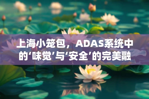 上海小笼包，ADAS系统中的‘味觉’与‘安全’的完美融合？