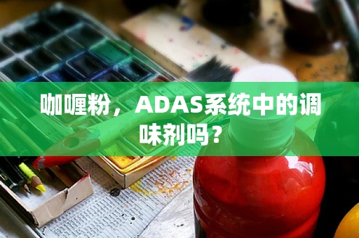 咖喱粉，ADAS系统中的调味剂吗？