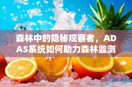森林中的隐秘观察者，ADAS系统如何助力森林监测？