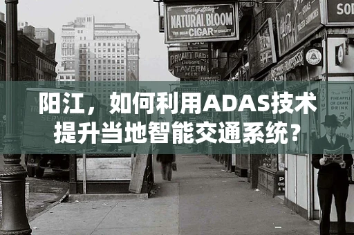 阳江，如何利用ADAS技术提升当地智能交通系统？