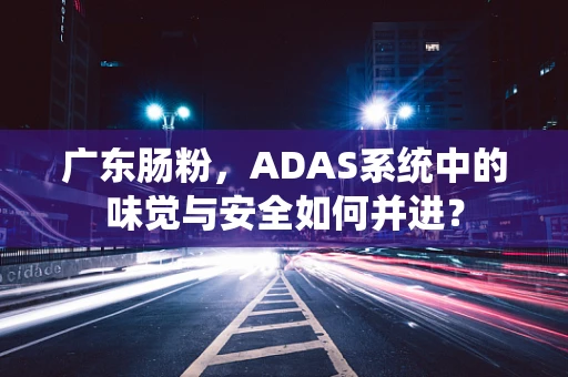 广东肠粉，ADAS系统中的味觉与安全如何并进？