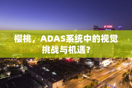 樱桃，ADAS系统中的视觉挑战与机遇？