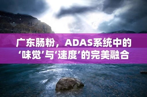 广东肠粉，ADAS系统中的‘味觉’与‘速度’的完美融合