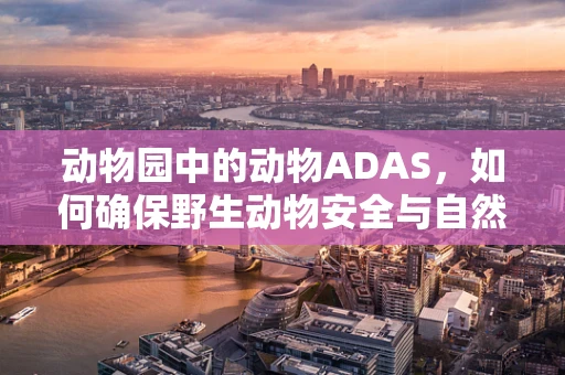 动物园中的动物ADAS，如何确保野生动物安全与自然环境和谐共存？