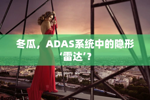 冬瓜，ADAS系统中的隐形‘雷达’？