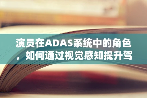 演员在ADAS系统中的角色，如何通过视觉感知提升驾驶安全？