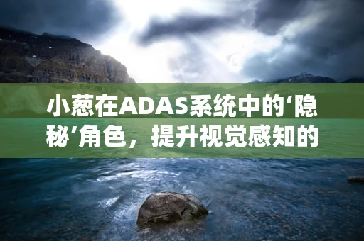 小葱在ADAS系统中的‘隐秘’角色，提升视觉感知的微妙助力？
