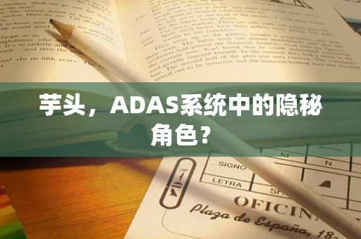 芋头，ADAS系统中的隐秘角色？