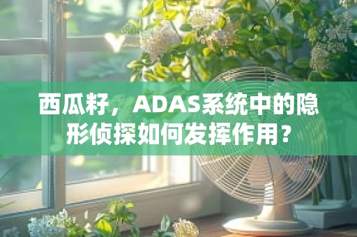 西瓜籽，ADAS系统中的隐形侦探如何发挥作用？