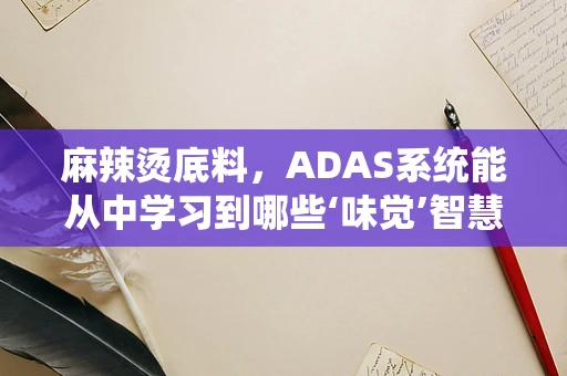 麻辣烫底料，ADAS系统能从中学习到哪些‘味觉’智慧？