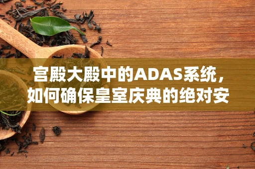 宫殿大殿中的ADAS系统，如何确保皇室庆典的绝对安全？