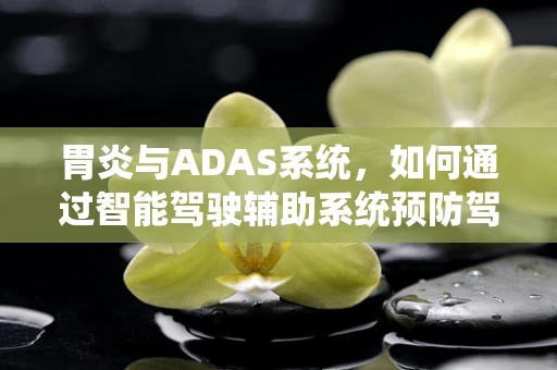 胃炎与ADAS系统，如何通过智能驾驶辅助系统预防驾驶员健康风险？
